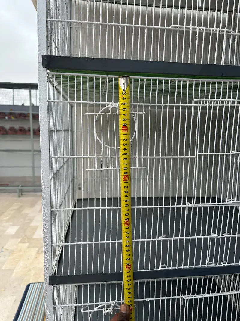 Cages with 10/10 condition and quality — photo 4