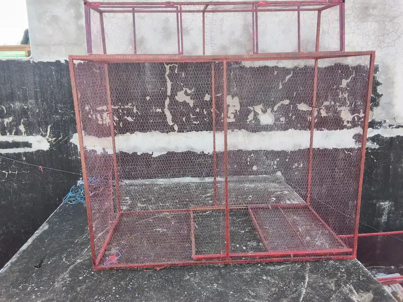 for sale