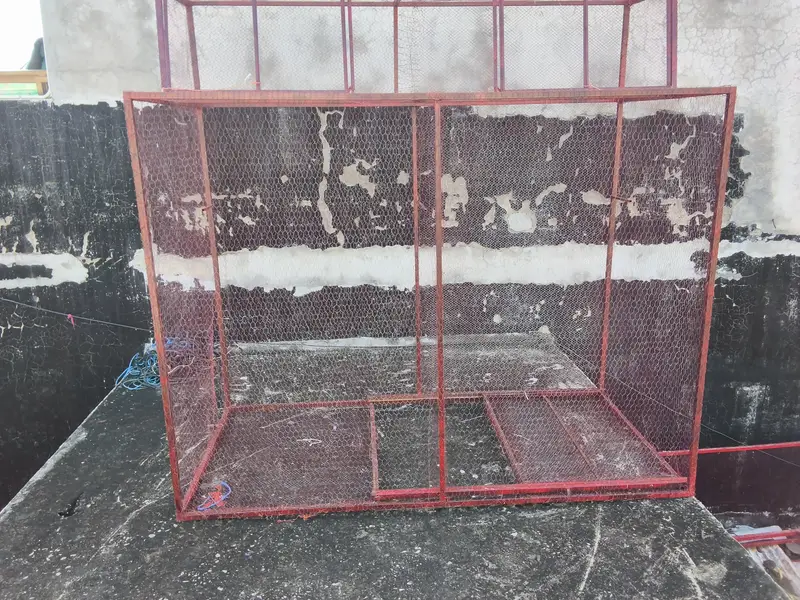 for sale — photo 2