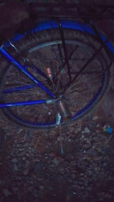 Cycle