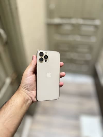 iPhone 12 Pro Dual Physical (PTA)