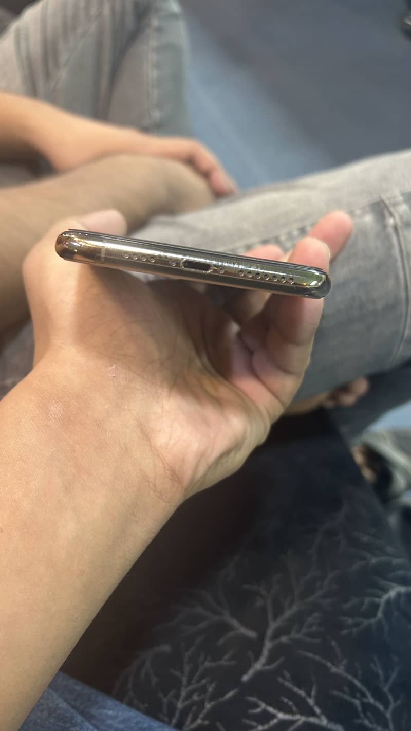 Apple iPhone XS Max 1