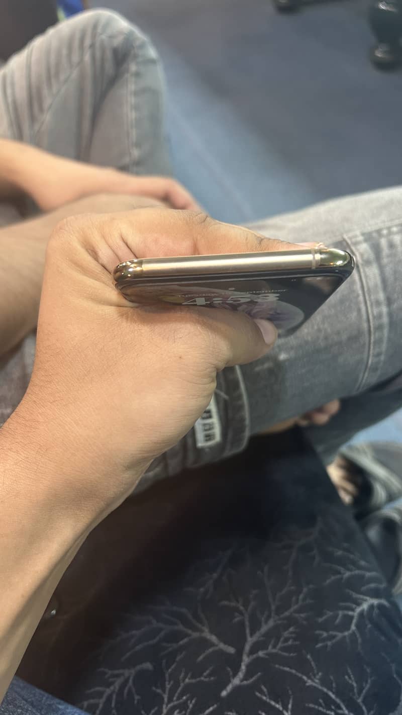 Apple iPhone XS Max 2
