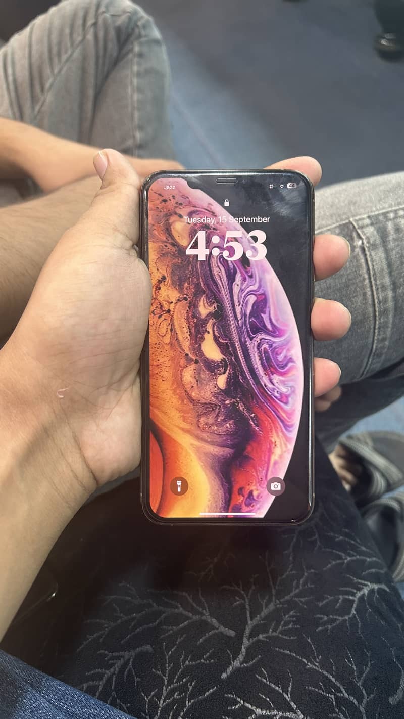 Apple iPhone XS Max 9
