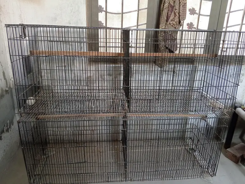 Birds Cage — photo 2