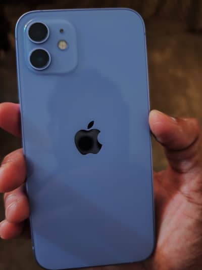 Apple iPhone 12
