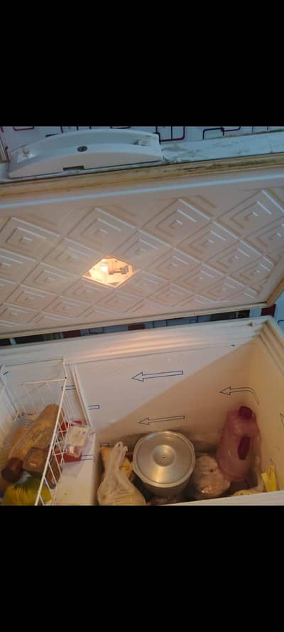 waves deep freezer
