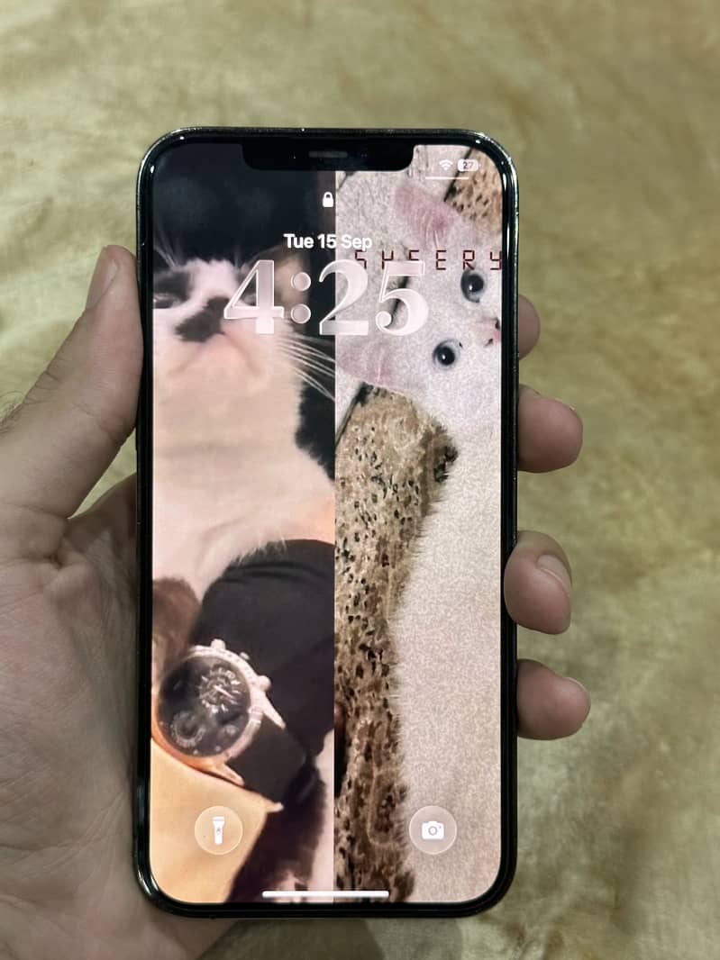 Apple iPhone 12 Pro Max 2
