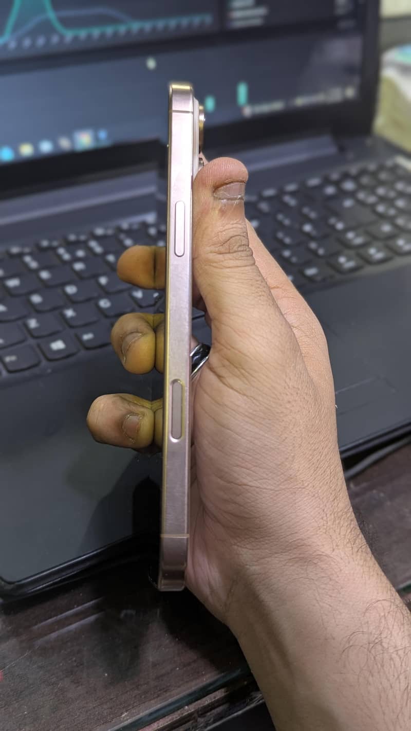 Apple iPhone 16 Pro Max 1
