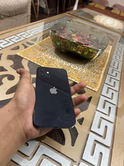 Apple iPhone 12