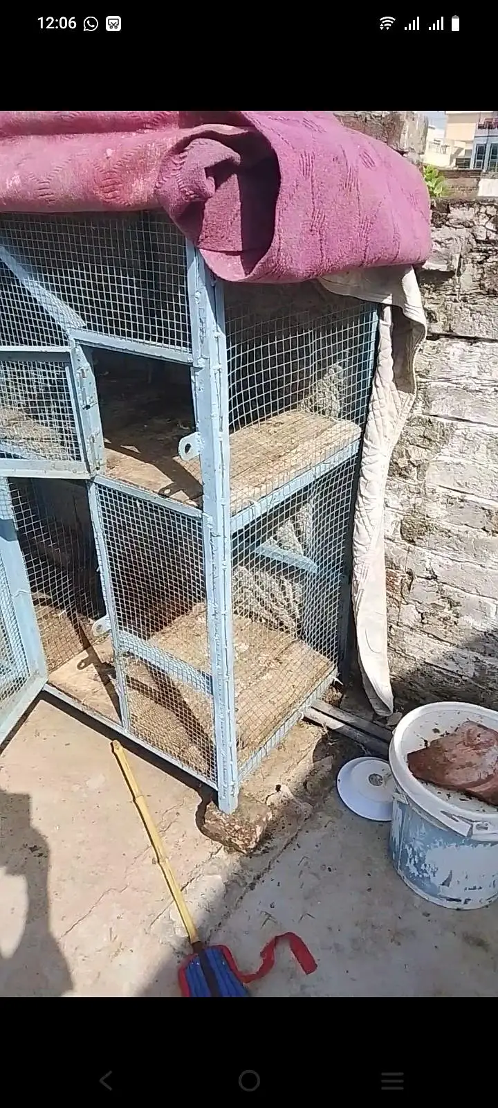 cage for sale ha — photo 2