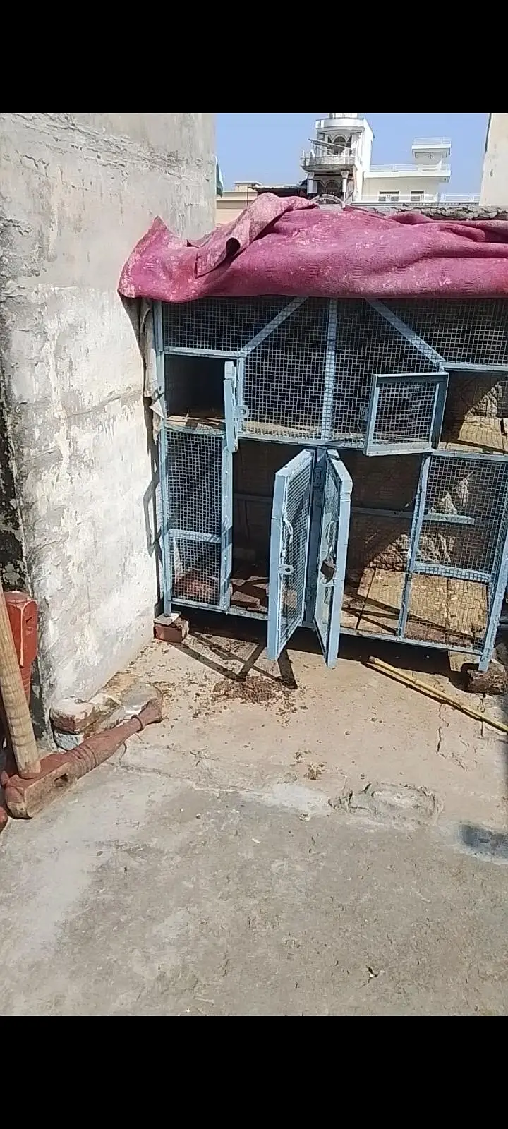 cage for sale ha — photo 3