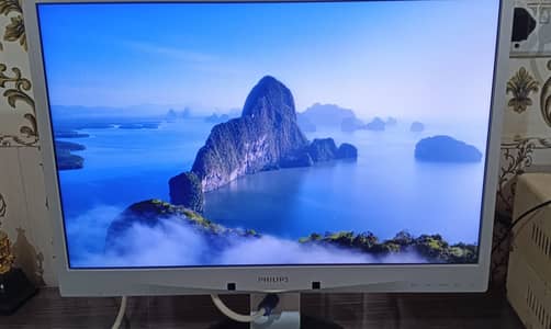 Philips 220P4L 22" LCD Monitor | 60Hz | DP DVI VGA | USB