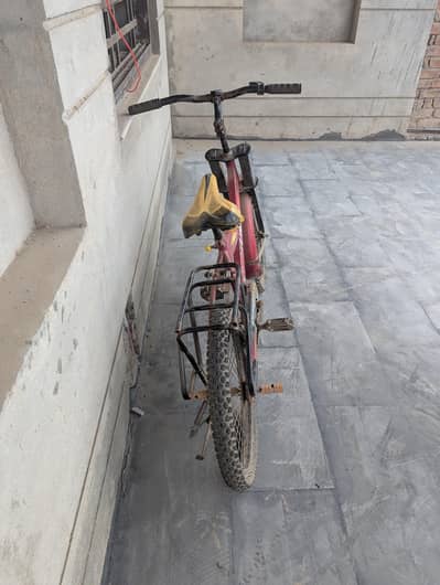 best cycle