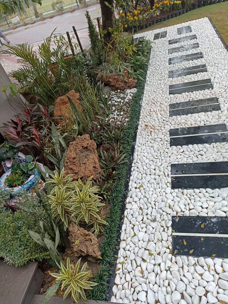Landscape&plants services 4