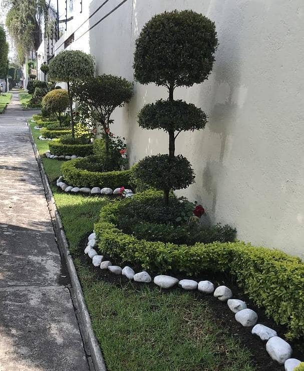 Landscape&plants services 5