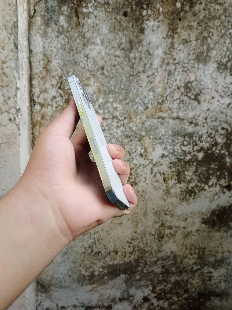 Apple iPhone 13 Pro Max 2