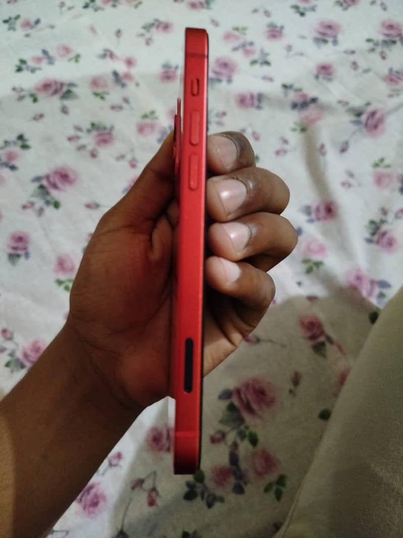 Apple iPhone 12 1