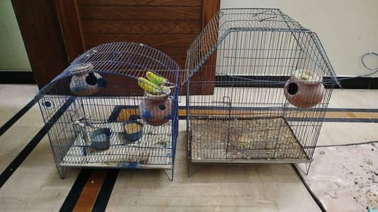 Australian pair