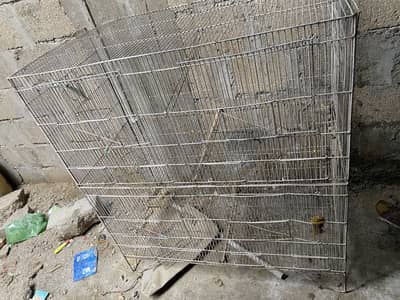 Hens/birds cage available