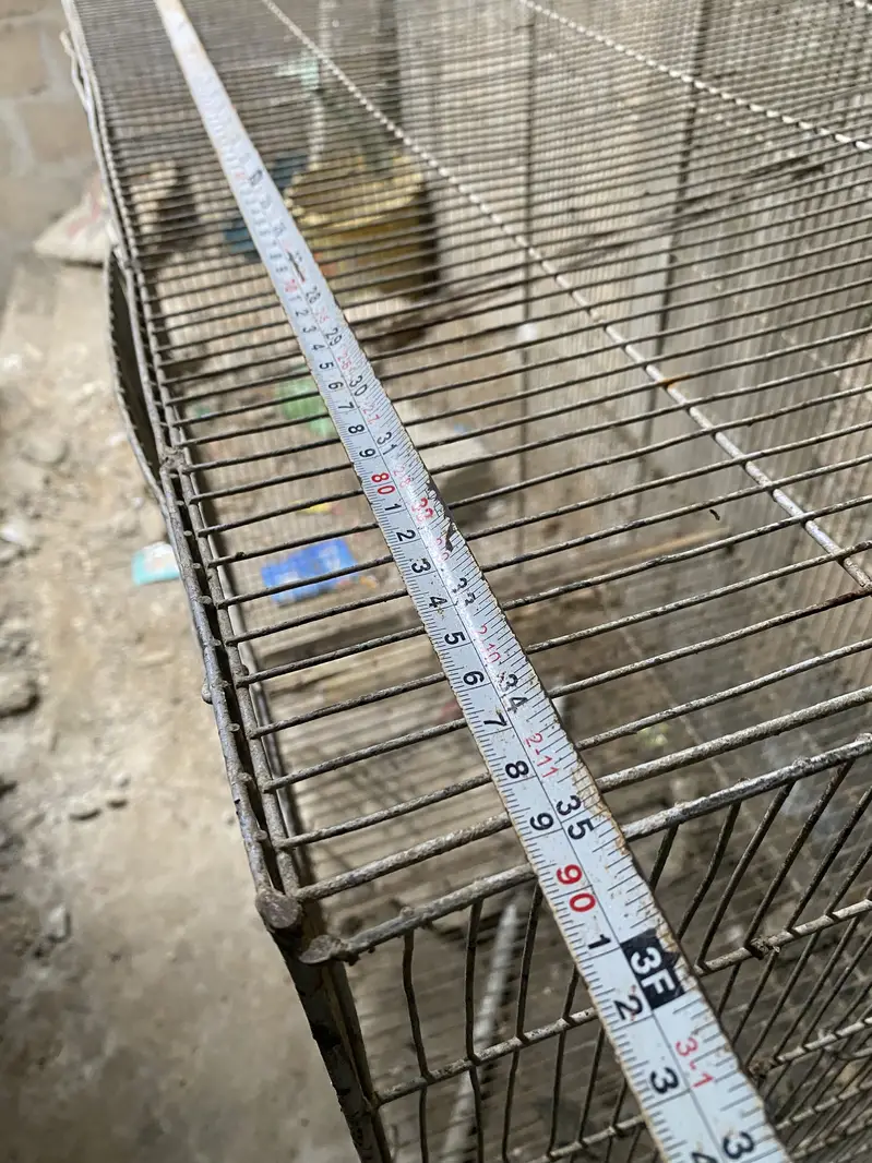 Hens/birds cage available — photo 2