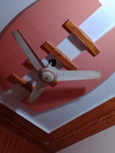 ceiling fan