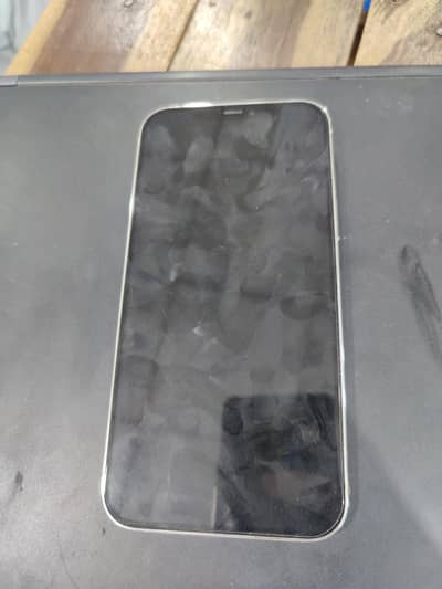 Apple iPhone 12 Pro Max