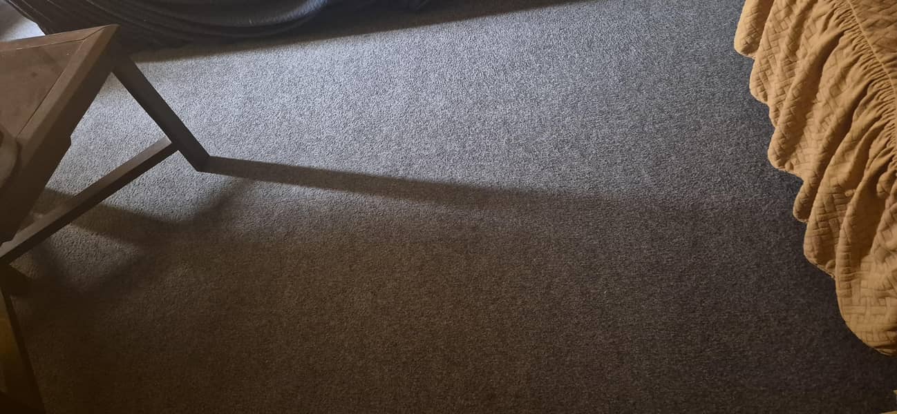 carpet room 1