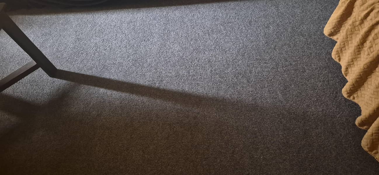 carpet room 2