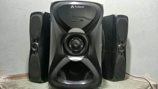 Audionic R30 Woofers