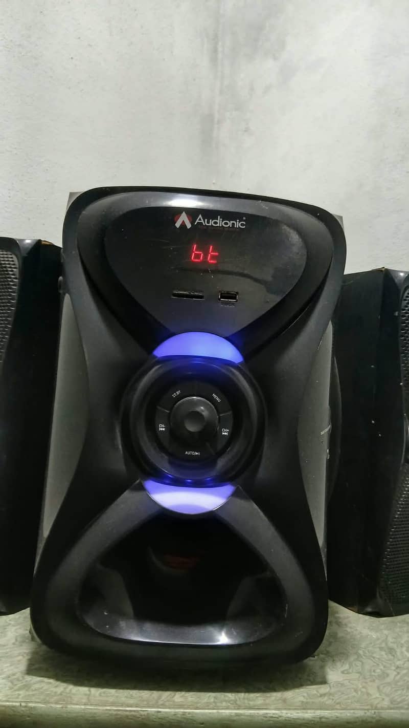Audionic R30 Woofers 1