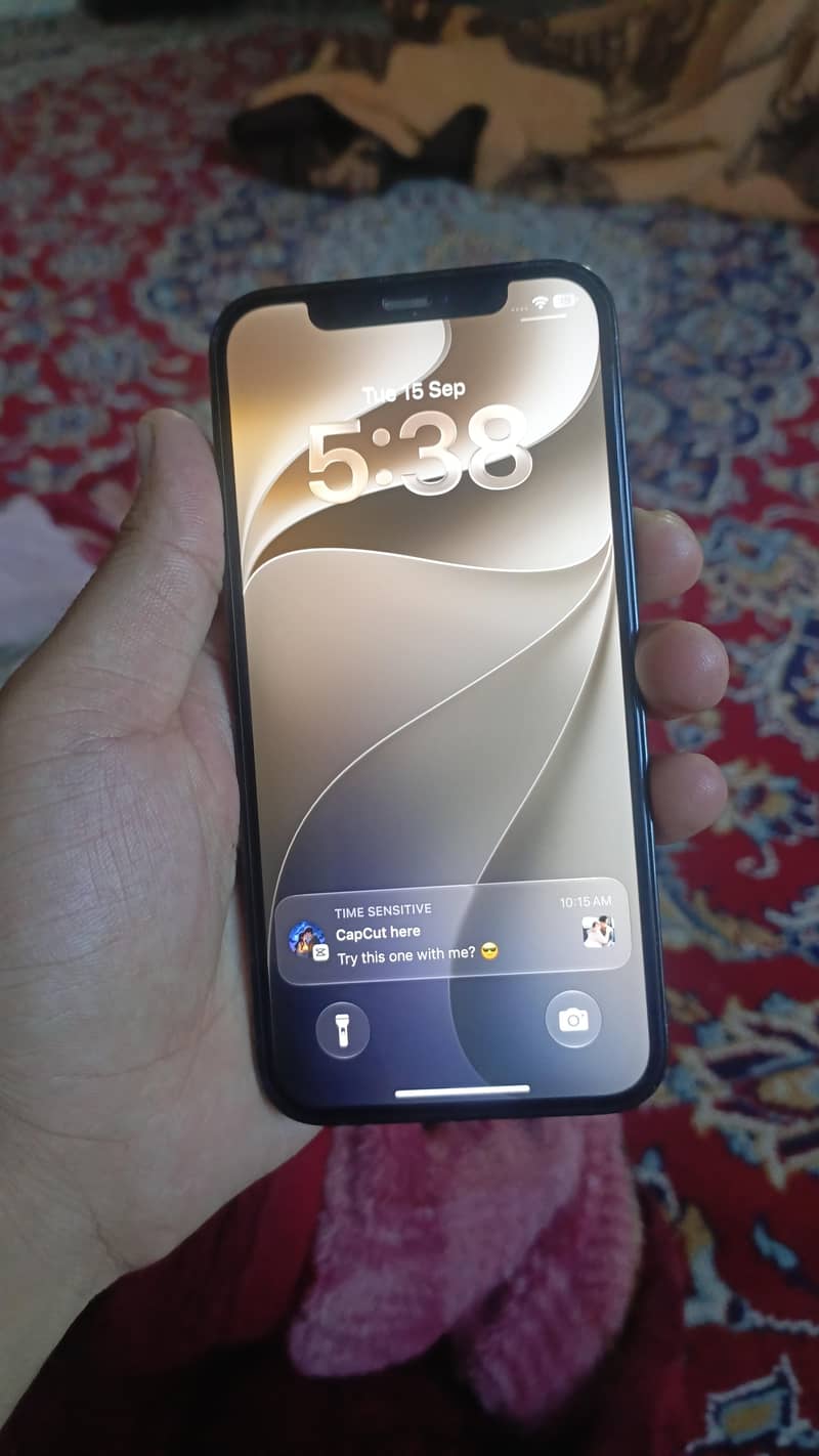 Apple iPhone 12 Pro 1