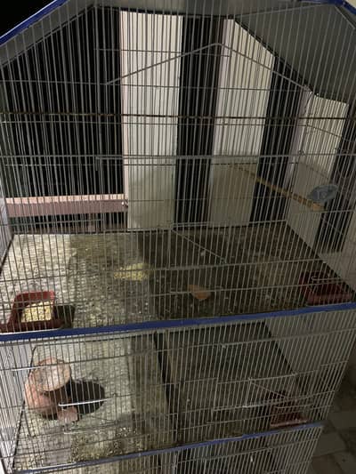 5 portion cage for sale