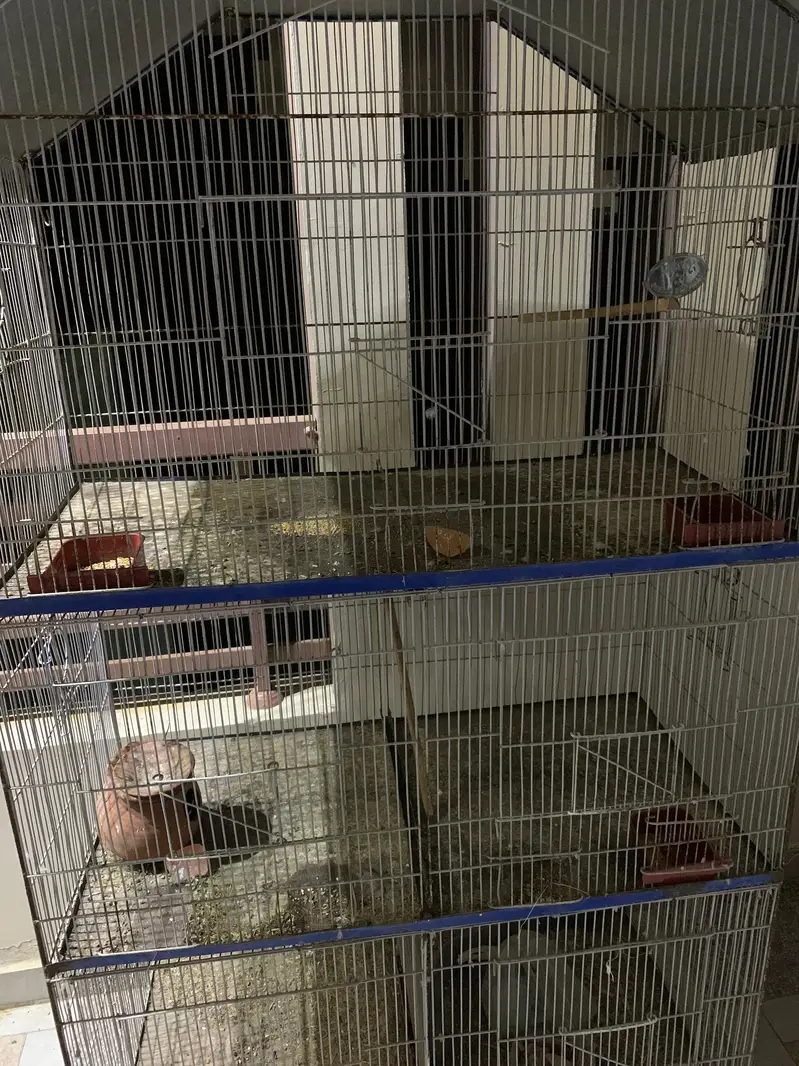 5 portion cage for sale — photo 2
