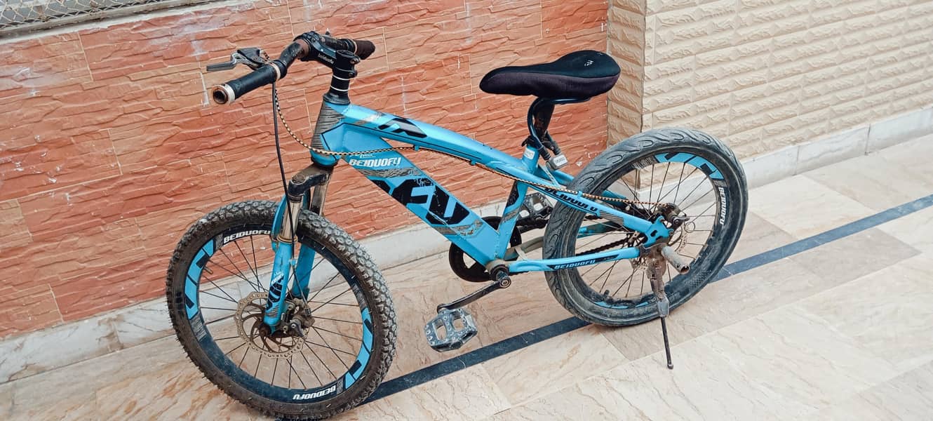 bicycle 0
