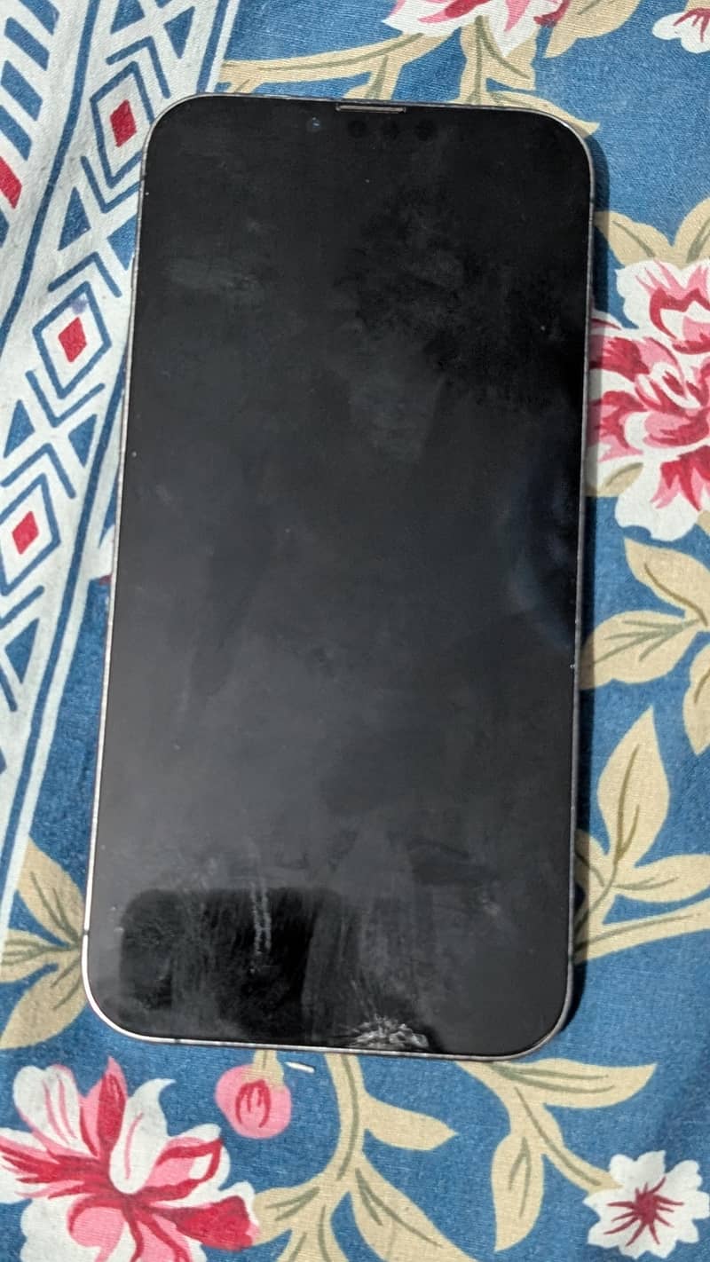 Apple iPhone 13 Pro Max 3