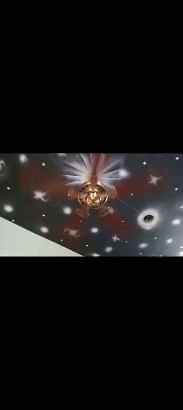 Hunter ceiling fan