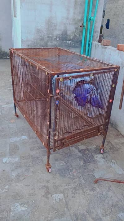 birds cage pinjra