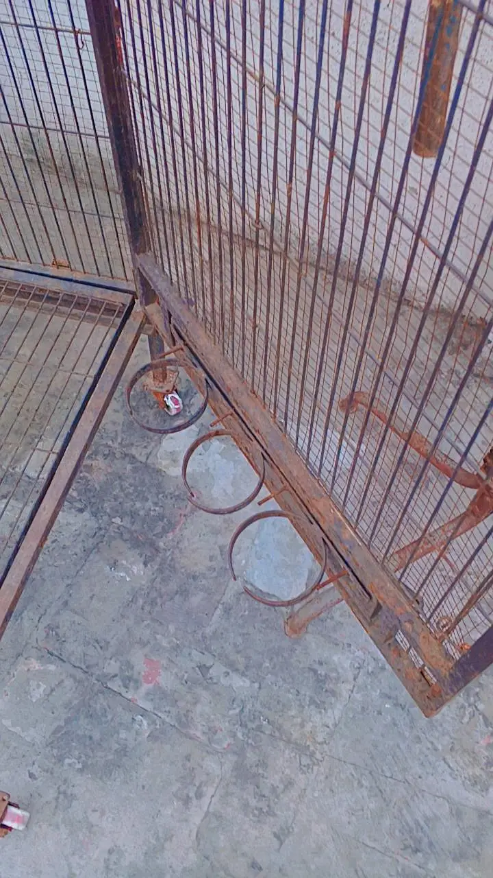birds cage pinjra — photo 4