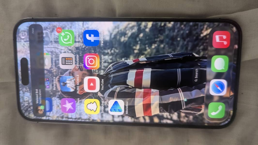 Apple iPhone 14 Pro Max 1
