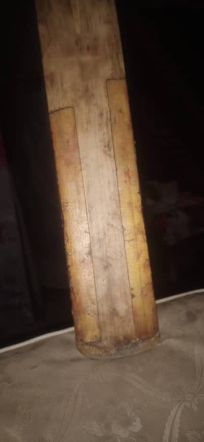 cricket bat plus kit