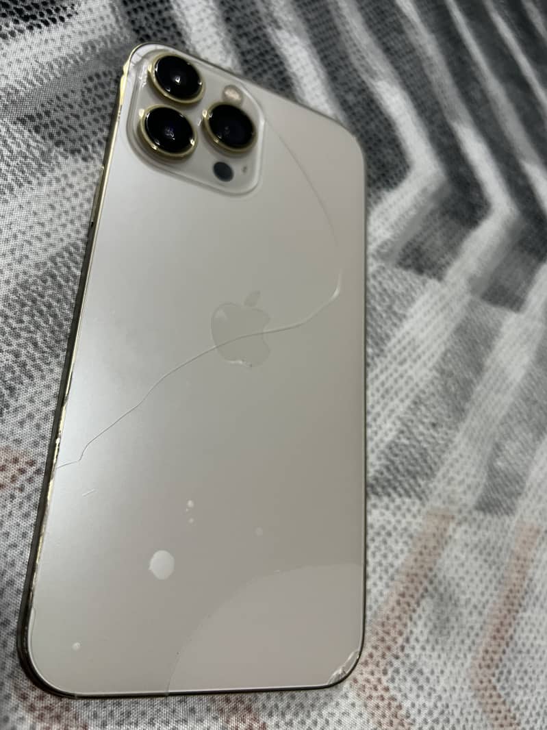 Apple iPhone 13 Pro Max 1