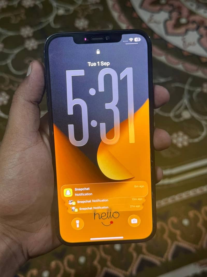 Apple iPhone 12 Pro Max 1