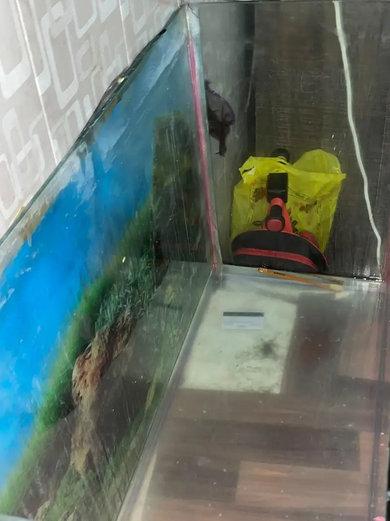 3 ft tank for sale — photo 3
