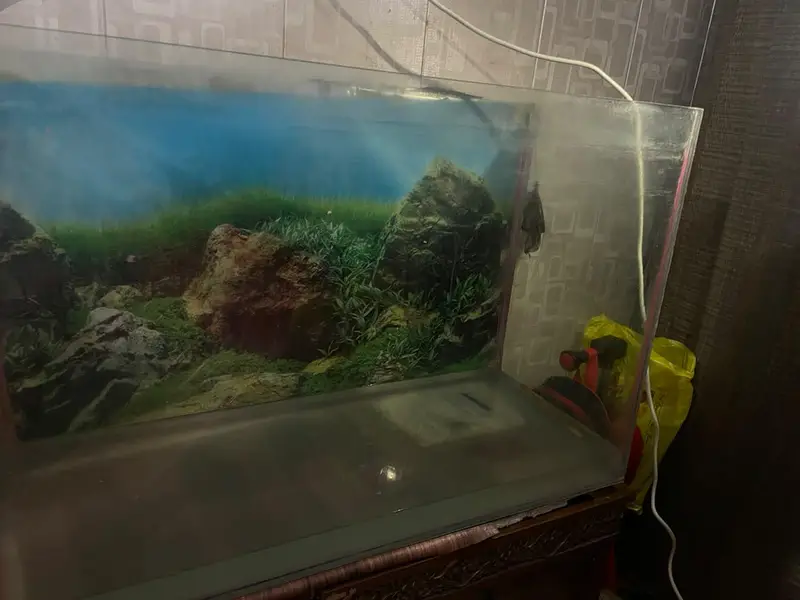 3 ft tank for sale — photo 4