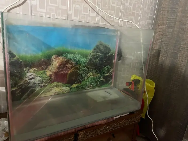 3 ft tank for sale — photo 5
