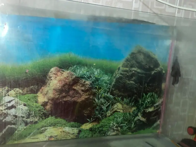 3 ft tank for sale — photo 7