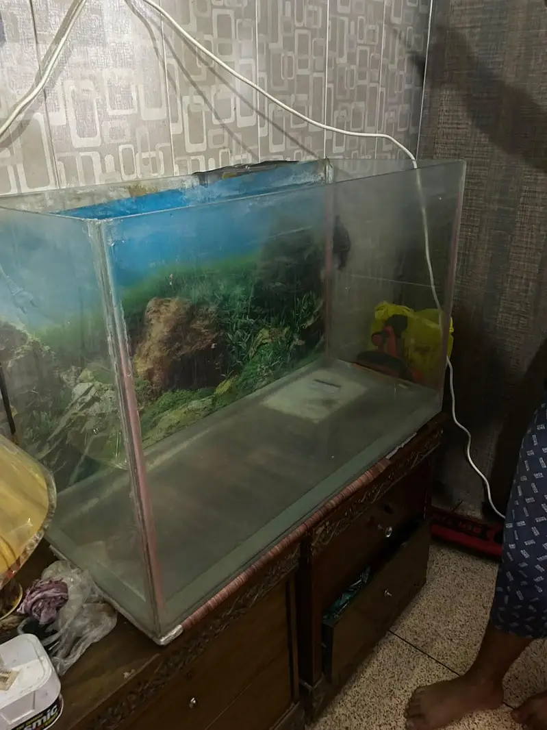 3 ft tank for sale — photo 8