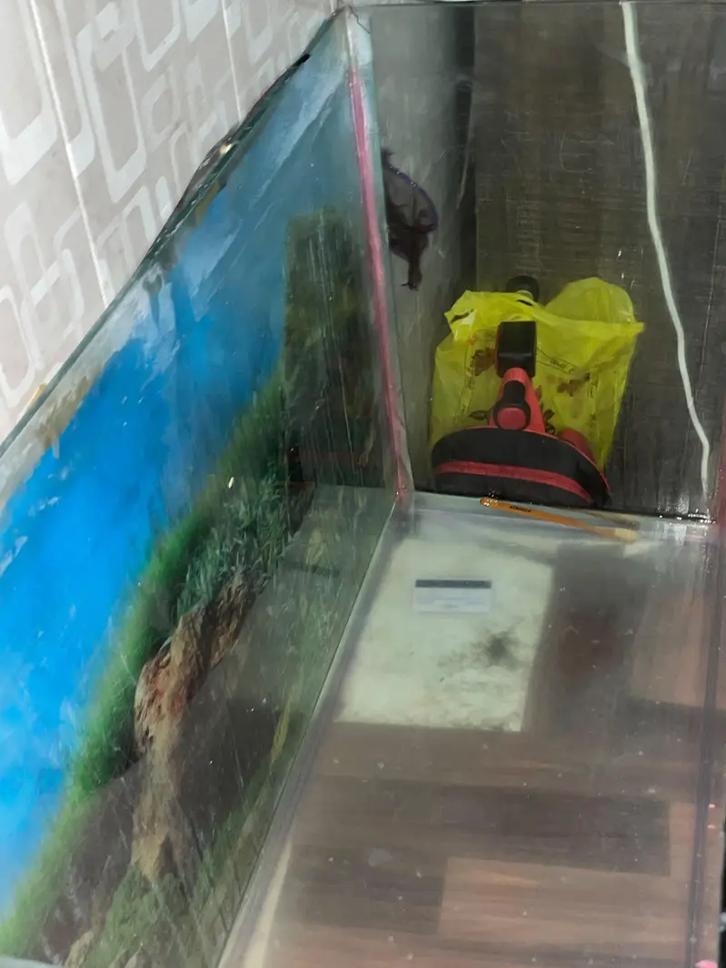 3 ft tank for sale — photo 9