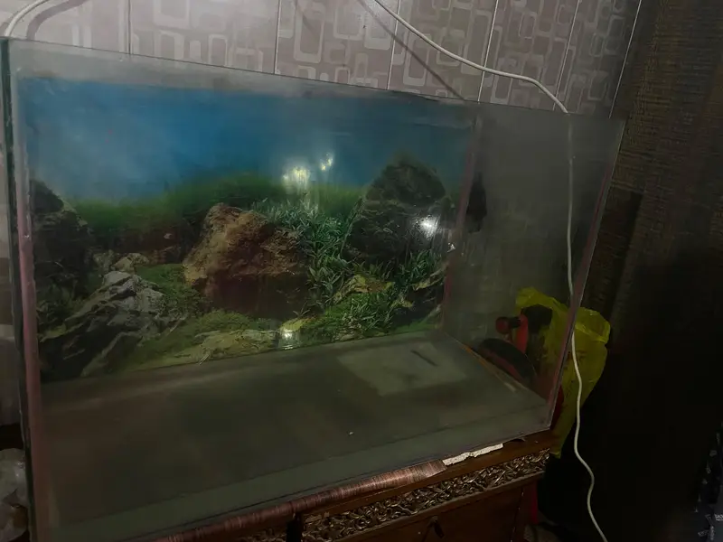 3 ft tank for sale — photo 11